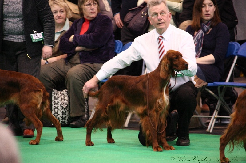 Crufts2011 273.jpg